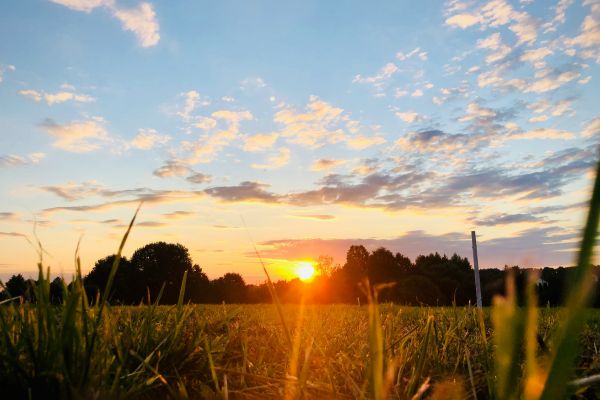 Zonnebrand: onmisbaar voor je huid – zeker op de camping