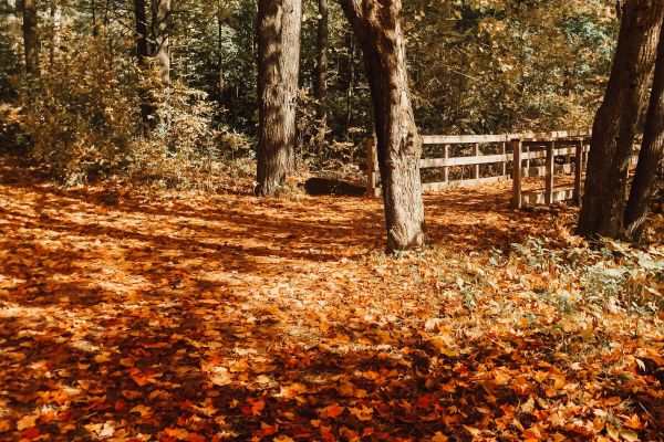 Verwarmde jas: ultieme bescherming tegen de kou