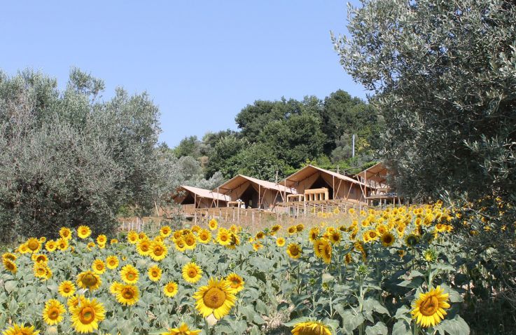 Glamping - Countryhouse Il Girasole