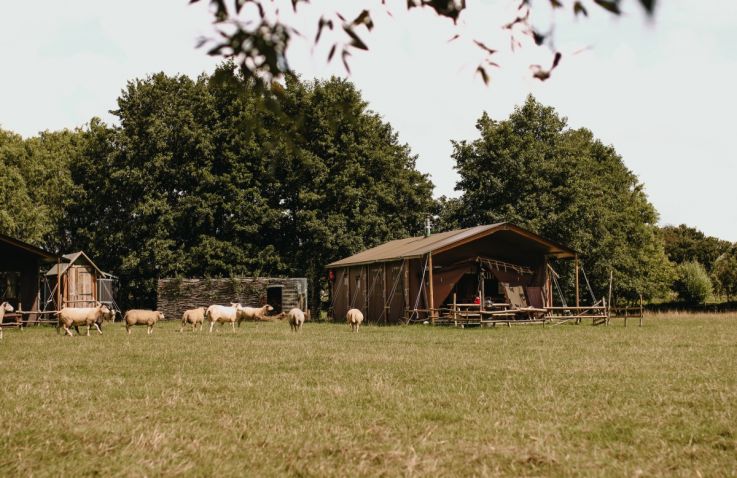 BoerenBed Landgoed ter Wijnendale in Torhout – Tenthuisjes West-Vlaanderen