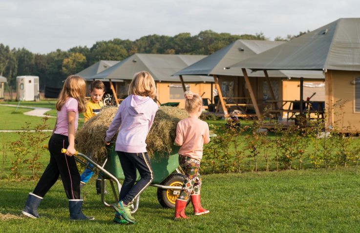 FarmCamps Alpaca Vorstenbosch - Safaritenten Noord-Brabant