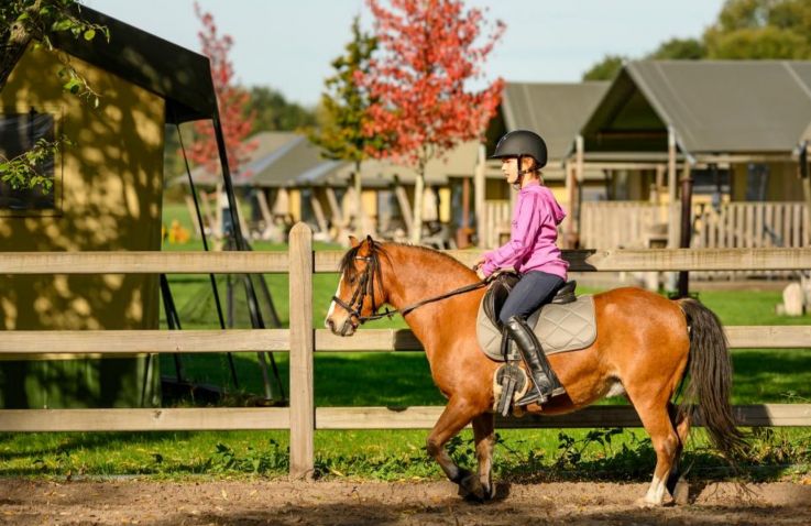 FarmCamps De Smulhoeve - Safaritenten in Noord-Brabant