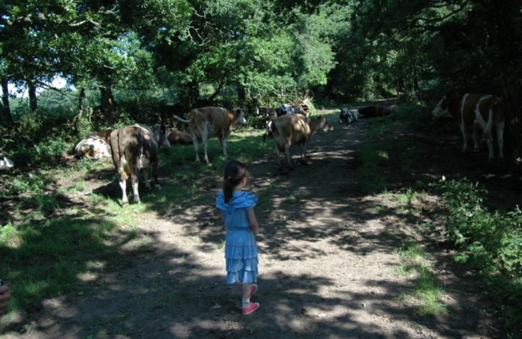 Boerenbed La Ferme de Penquelen - Tenthuisjes Bretagne