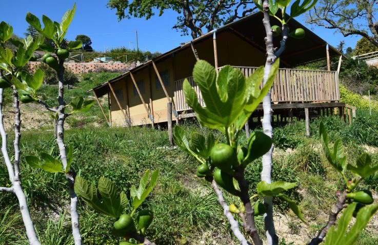 Tenuta Coste da Sole - Safaritenten Le Marche