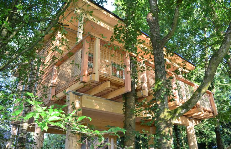 Boomhut - Mainbaumhaus