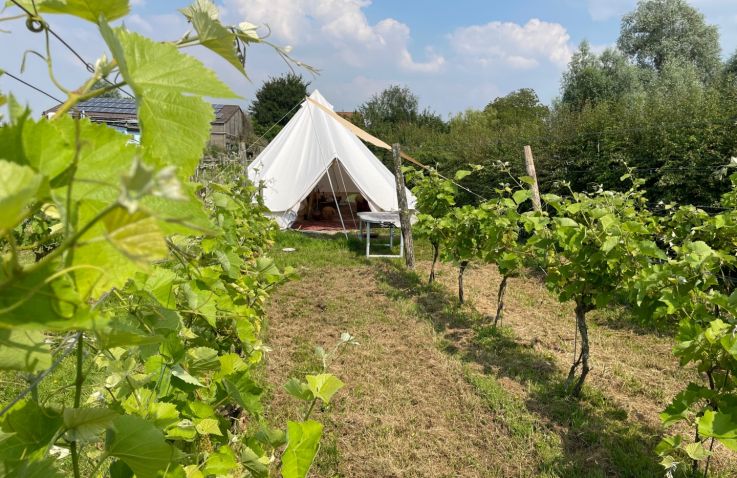 Klok-tent in de wijngaard - Glamping West-Vlaanderen