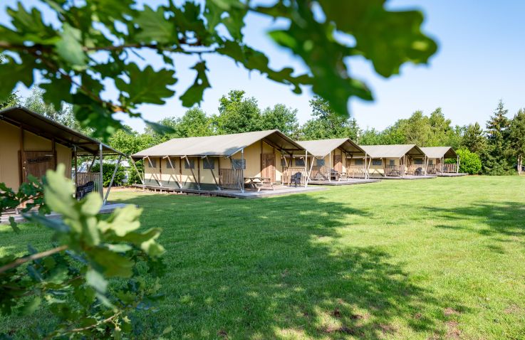 Veluwecamping de Pampel - Woodlodge Gelderland